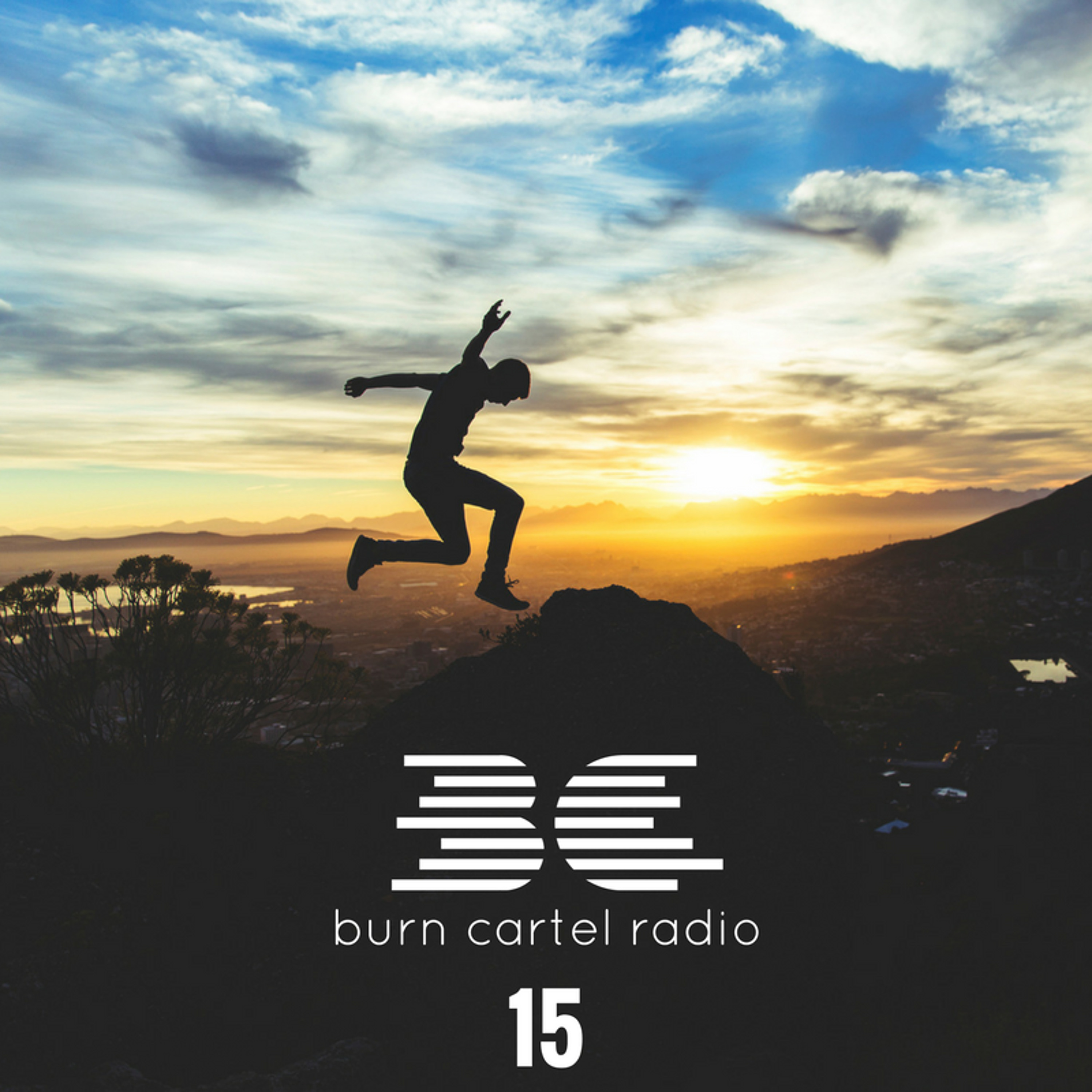Burn Cartel