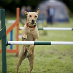 Equal Rites - Radio Drama