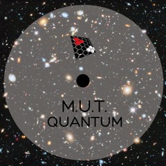 Quantum (Original Mix) [Strict Recordings]