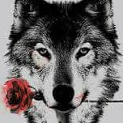 T1494469247663Never_Forget_You.mp3