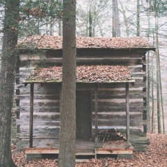 Cabin In New Zealand