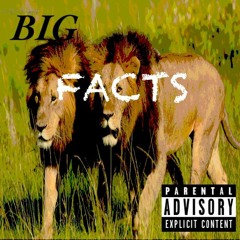 Big Facts Ft TWOGP