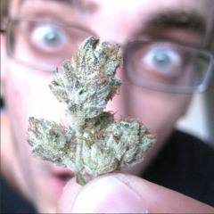 MUSIC BUZZ LIVE: 05/10/17 ~ MARK #THEGUYTHATCOULDFLY for #PotTalk