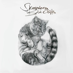 Skerrabra — Bold Cliffs