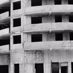 Synapse - Like An Animal