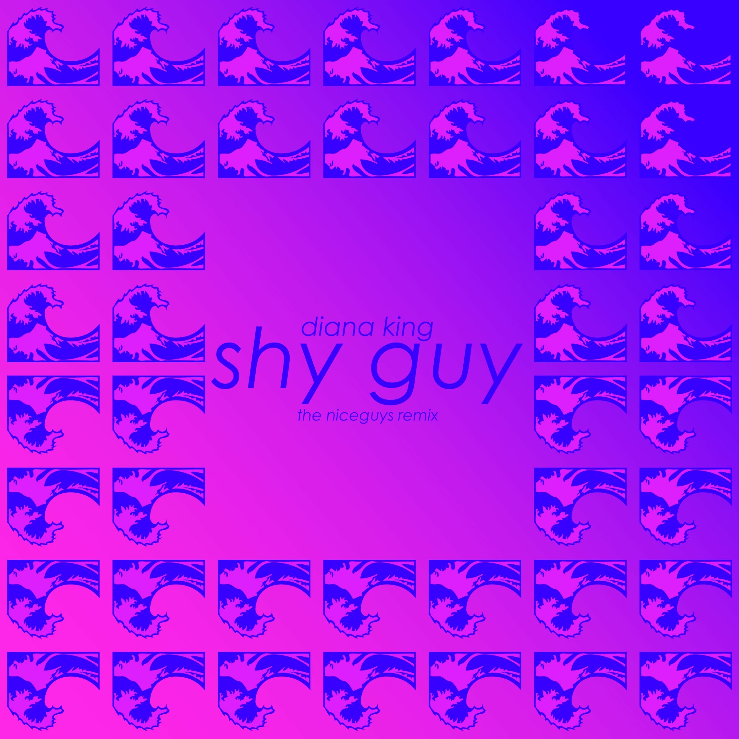 THE NICEGUYS