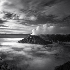 Forgotten World