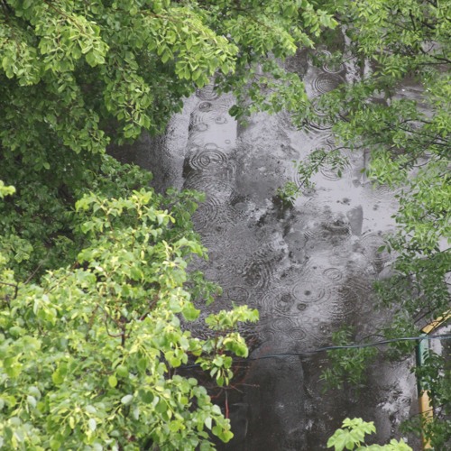 Stream Crimson Brain Listen to Ribs [granular synth sound demos