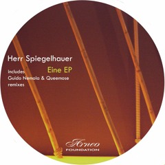 Herr Spiegelhauer - Tender Slap (Original mix)