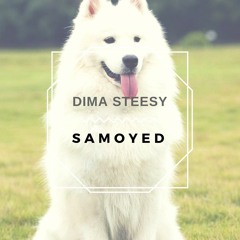 Samoyed