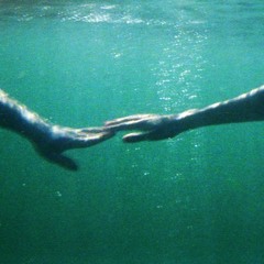 When i fall who would catch me