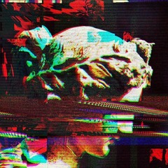 Desiring Glitchy Hope