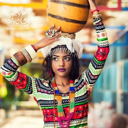 وسط الدايرة محمد وردي