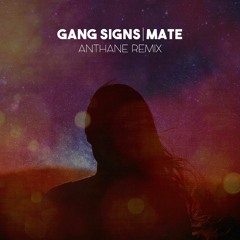 GANG SIGNS - Mate (Anthane Remix)