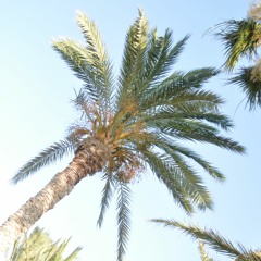 K.Malinovsky - Tunisia