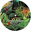c1. Swinging Plans (Original Mix)