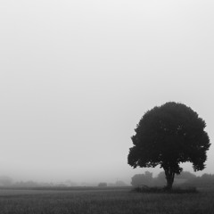 Organic Minimal Sessions 004 - Akatana