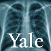 What Are the Different Types of Radiological Exams?