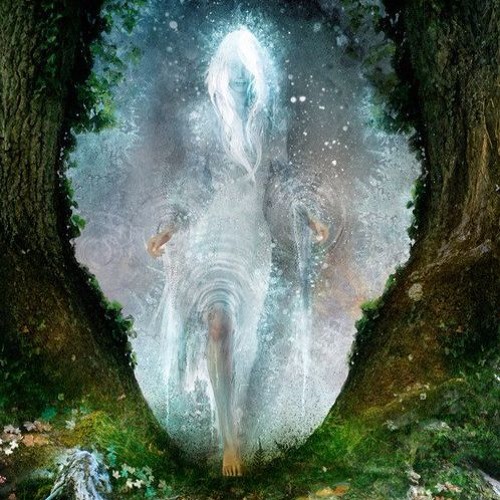 Flower Portals - Chillgressive Dreams