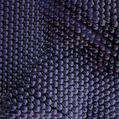 The Hive demo  (incomplete)