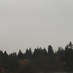 Lumiere - Don't Leave Ft. Bunnie