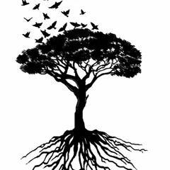The new life