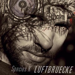 Frankfurt - Tracks and sets