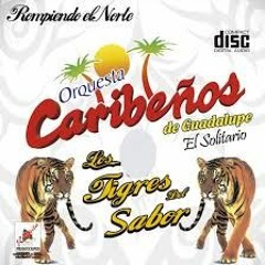 Solo Mentiras - Caribeños
