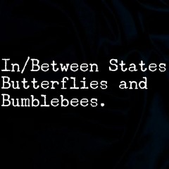 Butterflies And Bumblebees