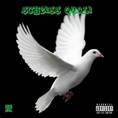 Scheiss Quali
