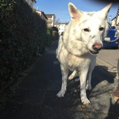 15.08.07 "Drums + Konakol"