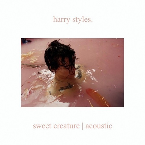 Harry Styles - Sweet Creature (Acoustic / Stripped) by SoundPost on  SoundCloud - Hear the world's sounds