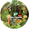 a1. Grow Box (Original Mix)