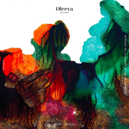 PREMIERE: Rudy - Qualia (Sam Goku Remix) [Oleeva Records]