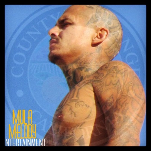 I Can't Call It - Mula Melody (primoXrascal)