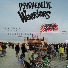 AXIMAL - LIVE @ PSYCHEDELIC WARRIORS Camp - BURNING MAN 2016