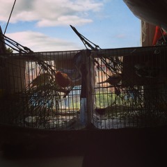 Love's Got Me (Demo BB Mix)