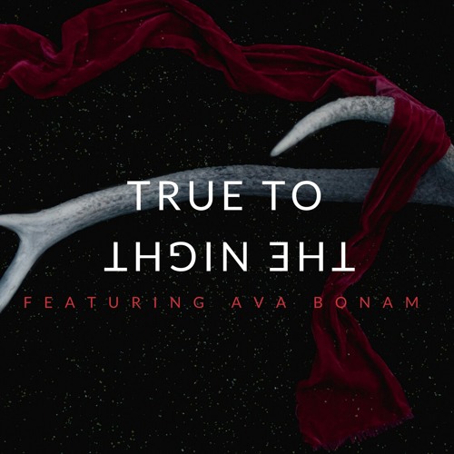 True To The Night(feat. Ava Bonam)