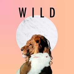 Wild ft. Marcus Machado