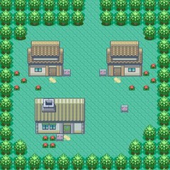 Pokemon ESR Little Root Town