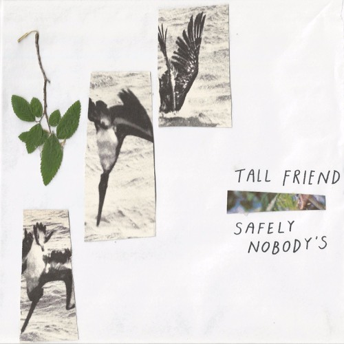 Tall Friend - Safely Nobody's