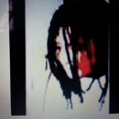 almost made it-tuskani