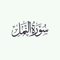 الشيخ احمد كاسب سورة النمل