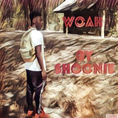 Woah! (prod. Walt Flizzney)