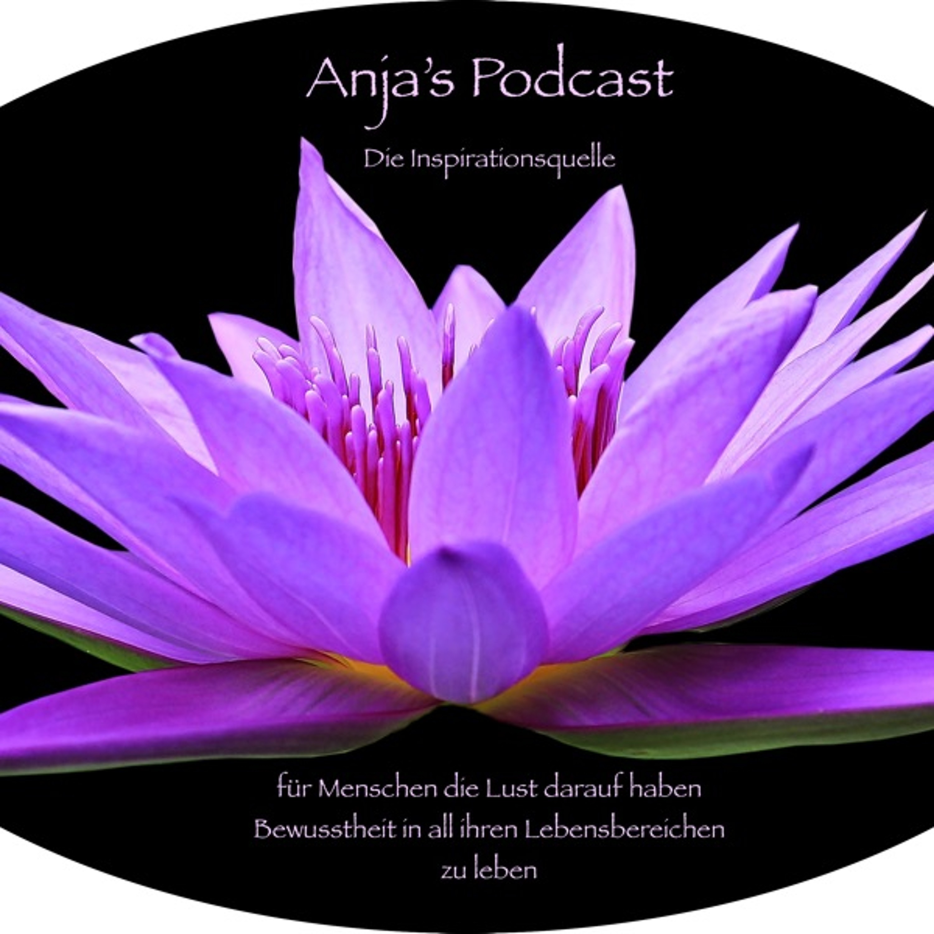 Feng Shui Podcast