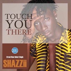 SHAZZII TOUCH YOU THERE