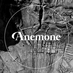 Wartaru Kishida - Minotaur - Anemone Recordings (preview)