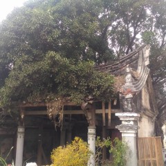 [ 聲東石兮 ] 06 被榕樹壓垮的廟（鄰居口述歷史） 福安宮舊址