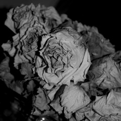 Sciahri - Faith Healing [Black Opal]