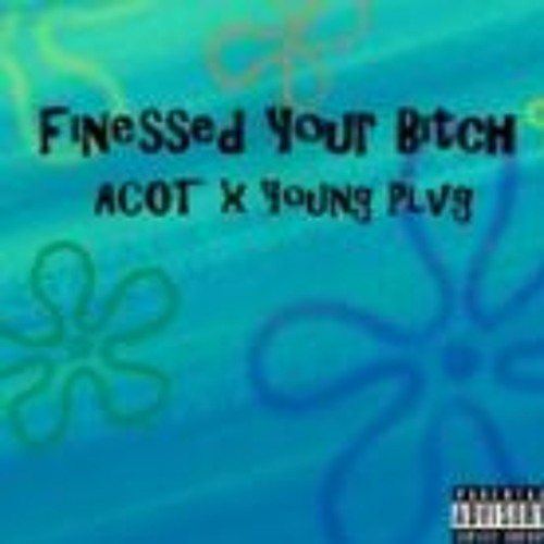 I Finessed Your Bitch (re-upload)